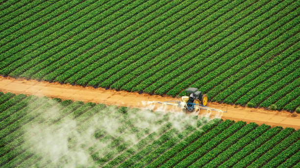 Best Mosquito Control Services  in Pacolet, SC