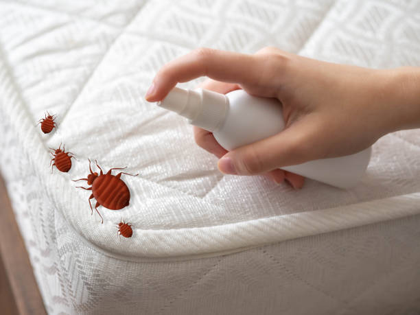 Best Pest Control for Homes  in Pacolet, SC
