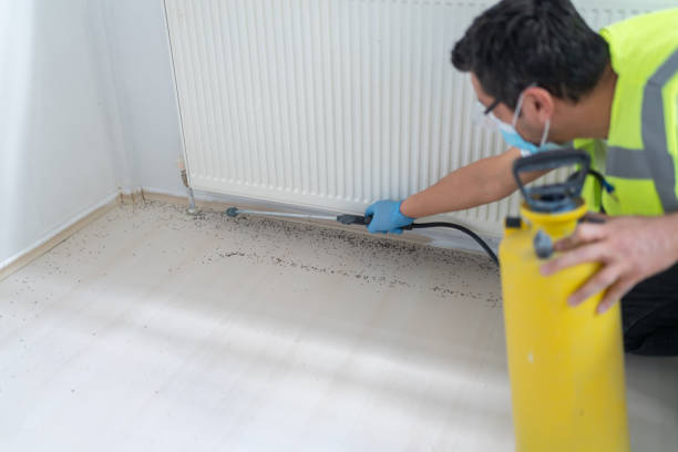 Best Affordable Pest Control Services  in Pacolet, SC