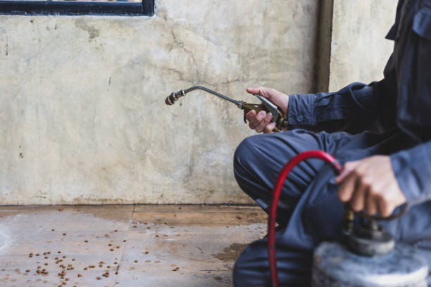Best Termite Control Services  in Pacolet, SC