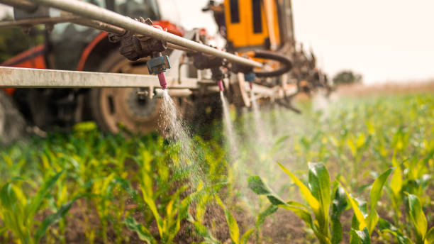 Best Best Pest Control Companies  in Pacolet, SC